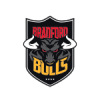 Bradford Bulls